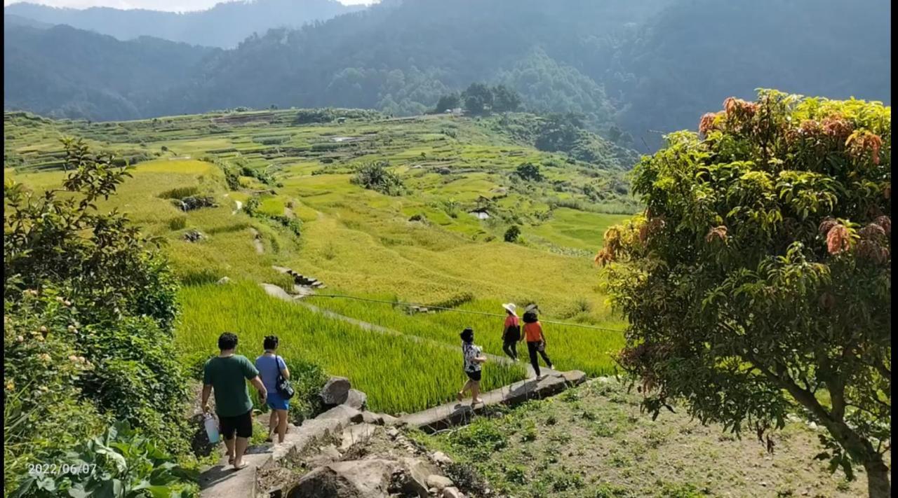 Banga-An Bnb And Coffee House Sagada Ngoại thất bức ảnh