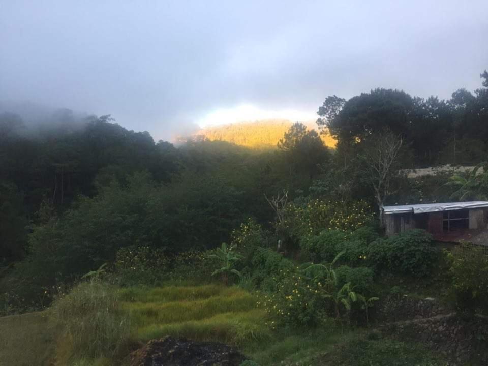 Banga-An Bnb And Coffee House Sagada Ngoại thất bức ảnh