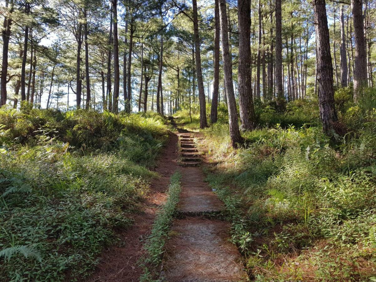 Banga-An Bnb And Coffee House Sagada Ngoại thất bức ảnh