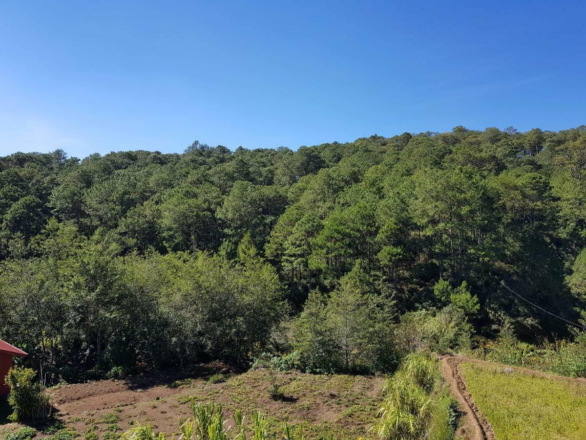 Banga-An Bnb And Coffee House Sagada Ngoại thất bức ảnh