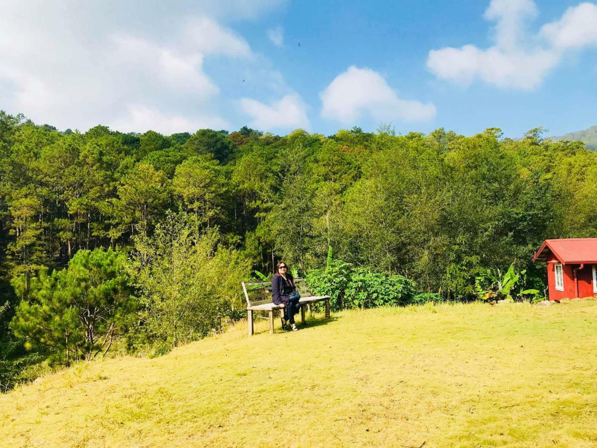 Banga-An Bnb And Coffee House Sagada Ngoại thất bức ảnh