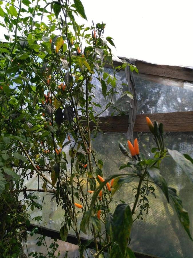 Banga-An Bnb And Coffee House Sagada Ngoại thất bức ảnh